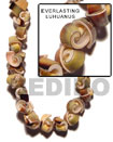 Shell Beads everlasting luhuanus shells in beads strands