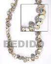 Shell Beads bonium gray shells in beads strands