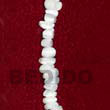 Coco and Shell Bracelet