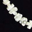 Coco and Shell Bracelet