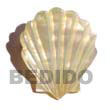 Coco and Shell Brooch