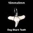 Cebu Island Dog Shark Teeth Pendant Bone Pendants Philippines Natural Handmade Products
