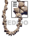 Cebu Island Frog Shell Gray In Cebu Shell Beads Philippines Natural Handmade Products