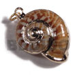 Land snail shell molten gold metal jewelry