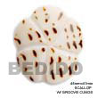 Shell Pendants Jewelry