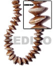 Sundial Shell Beads