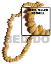 Nassa Yellow Shell Beads