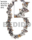 Nassa Black and White Shell Beads