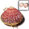 Shell Coin Purse