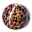 Cebu Island Round Tiger Cowrie 40mm Shell Pendant Philippines Natural Handmade Products
