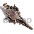 Cebu Island Koriosos Family Shell (approx. Shell Pendant Philippines Natural Handmade Products